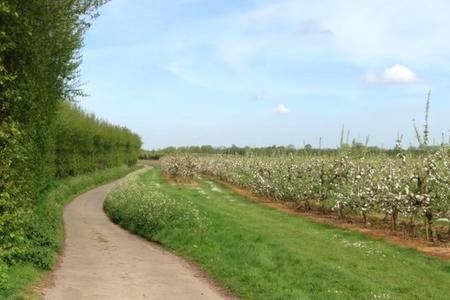Church Farm B&B Suffolk Great Whelnetham Εξωτερικό φωτογραφία