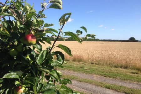 Church Farm B&B Suffolk Great Whelnetham Εξωτερικό φωτογραφία